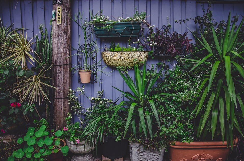 Installer une pompe de forage - Jardinet - Équipez votre jardin au
