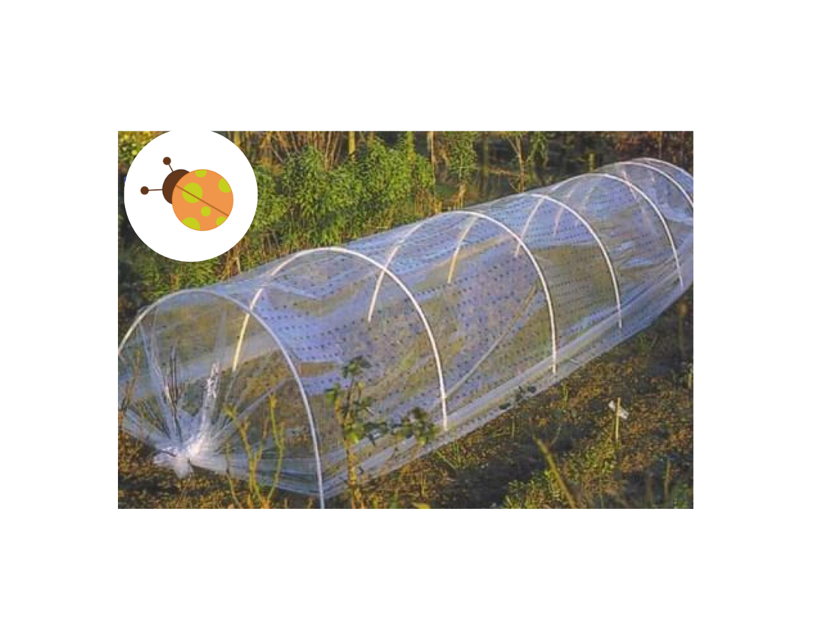 Arceaux de jardin en PVC - 2m - Jardinet - Équipez votre jardin au